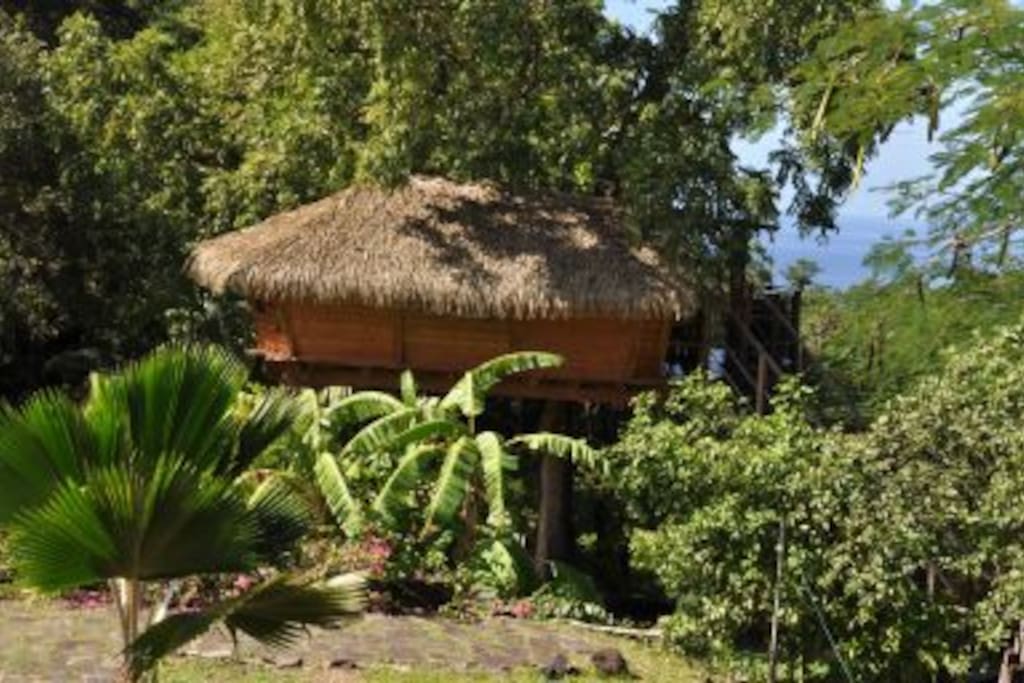cabane a Rhum
