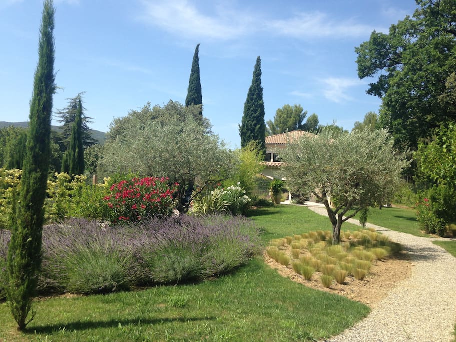 Le jardin