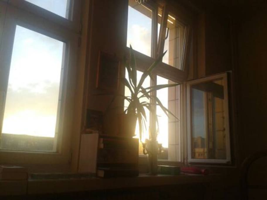 the windows of the living room go southwards