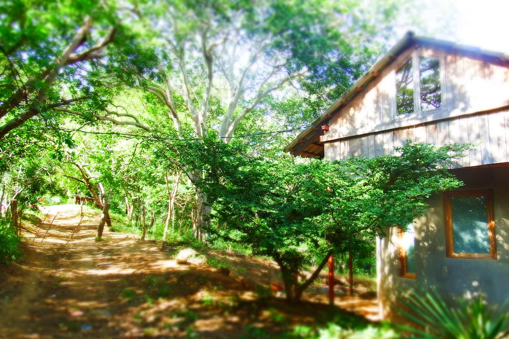 Path going past Casa Abierta