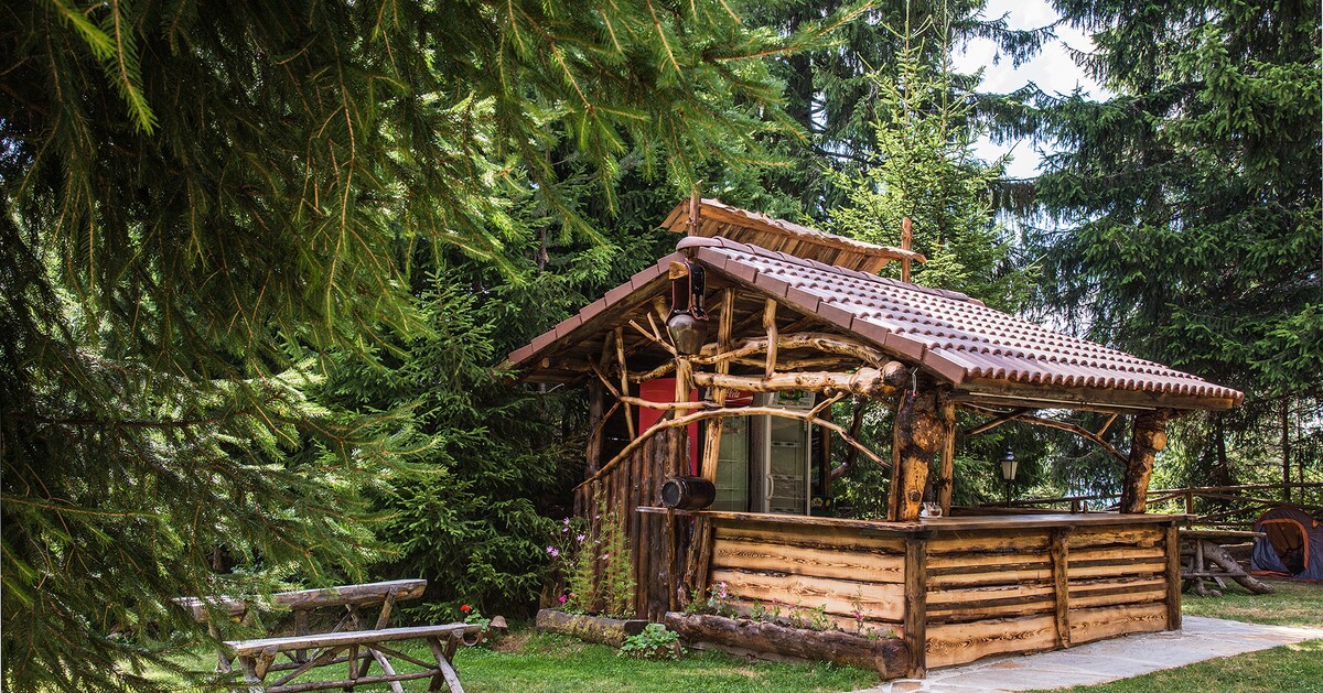 A rustic wooden structure is surrounded by tall greenery, featuring an open area with a sloped roof. A natural wooden bar adds charm to the outdoor setting, complemented by a few benches nearby. The scene evokes a sense of tranquility amidst nature.