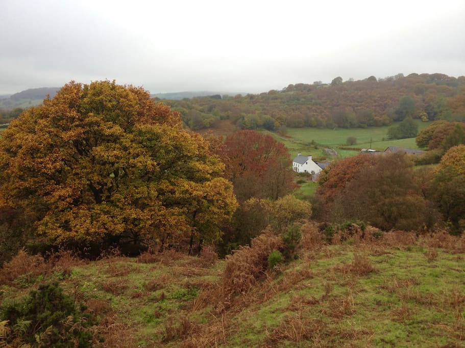 Nesting in quiet valley 5 miles from Brecon