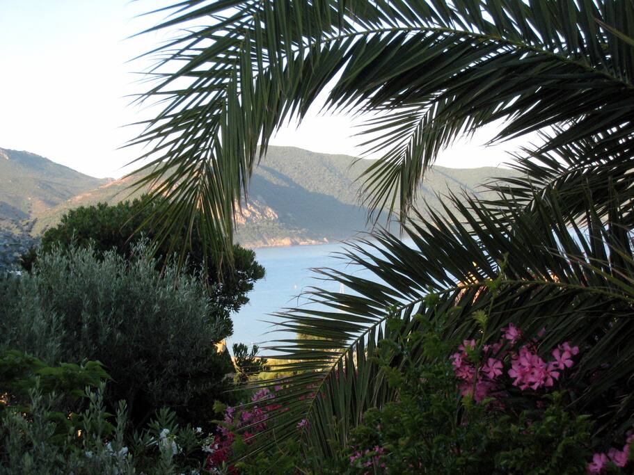 vue depuis le jardin