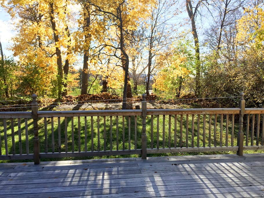 There is a park behind our garden.