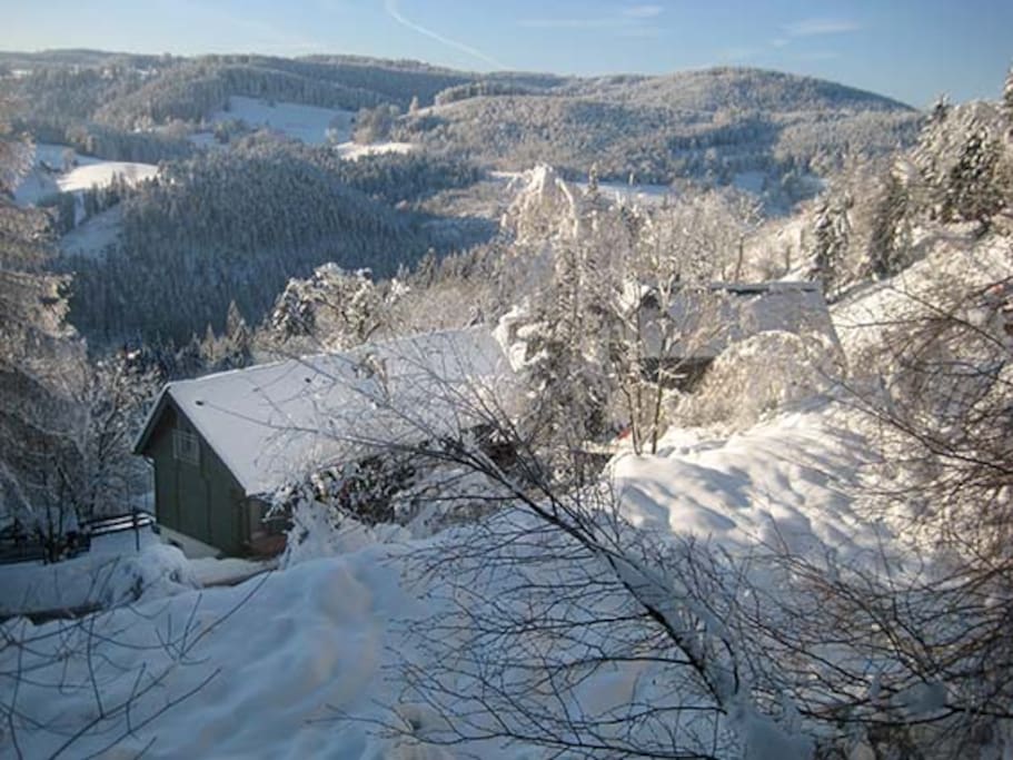 Im Winter