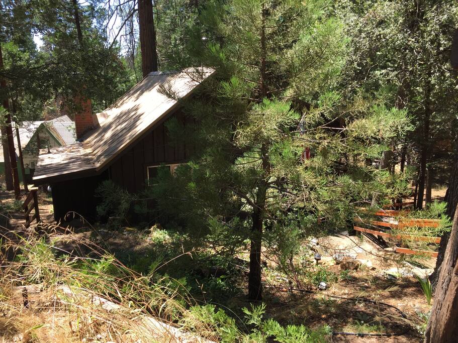 Secluded and shady