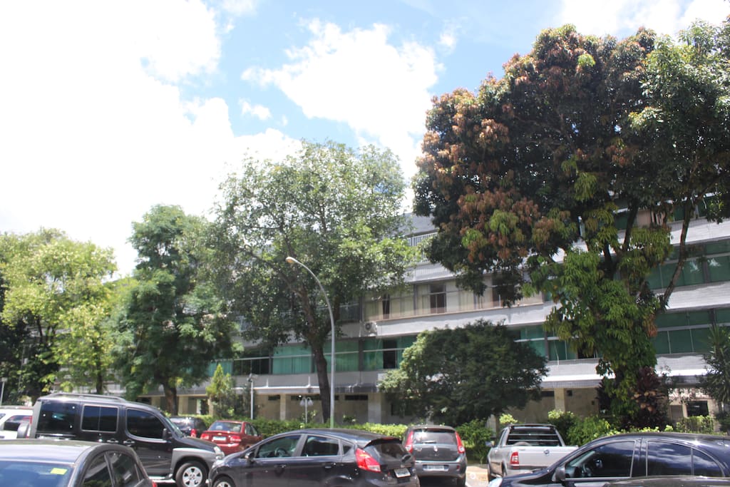 Prédio arborizado, pastilhado