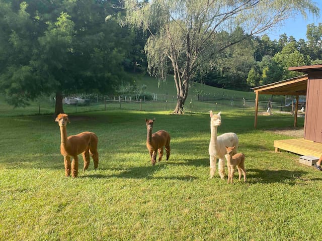Hike and Bike from the Farm.