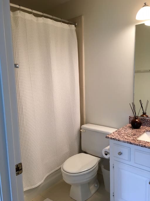 Full guest bath with shower and bathtub