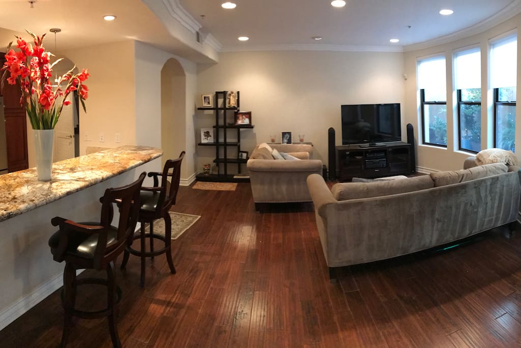 Living room/ kitchen bar