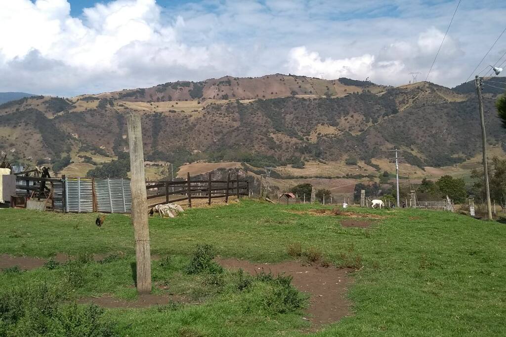 Vista a la montaña
