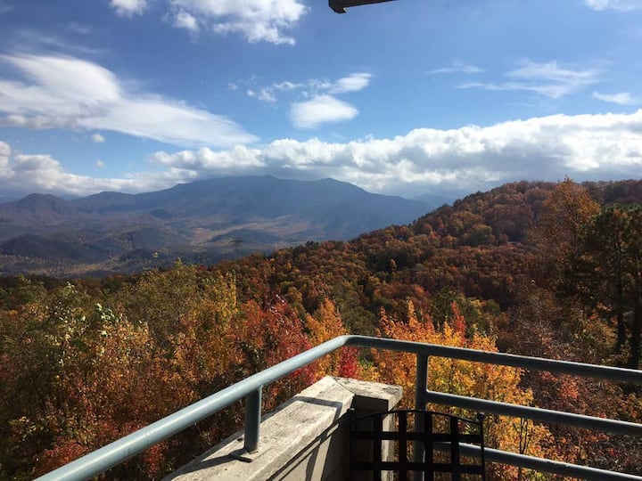 scenic tours and rentals gatlinburg