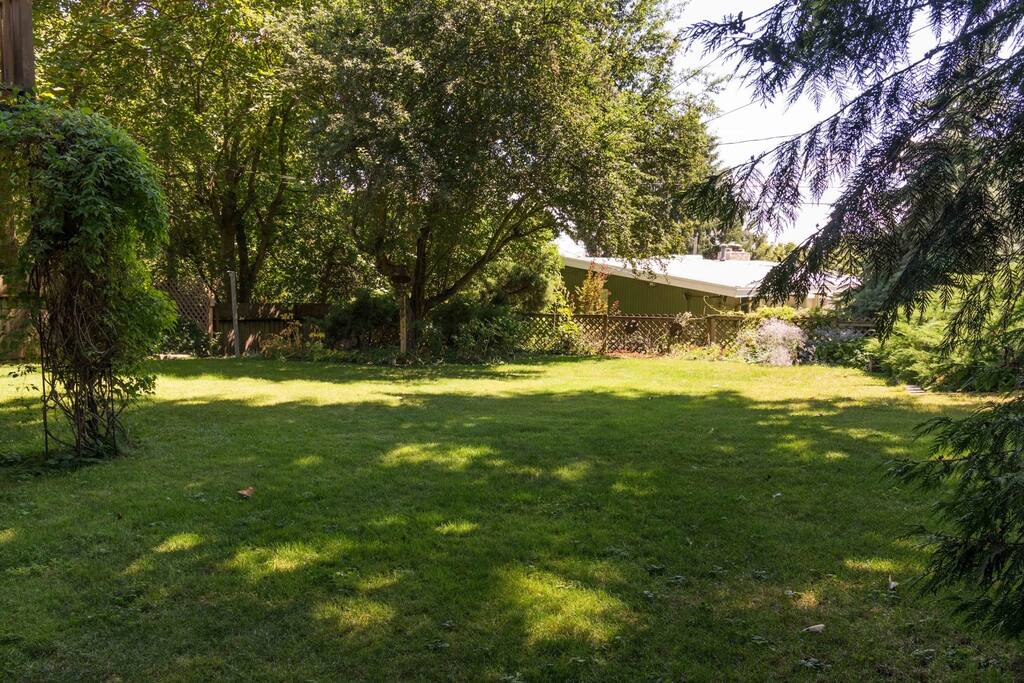 View of back yard from apartment entrance
