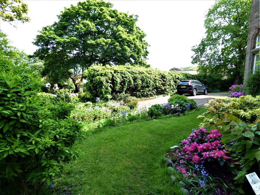 Front Garden