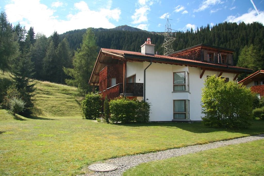 Garden in Summer