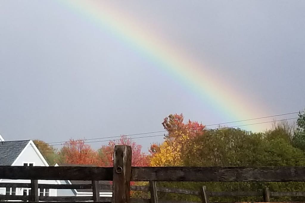 We are the pot of gold at the end of the rainbow!