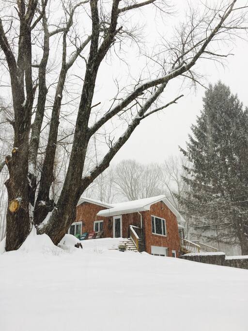 Pinky's in snow days ~ sweet, beautiful and peaceful