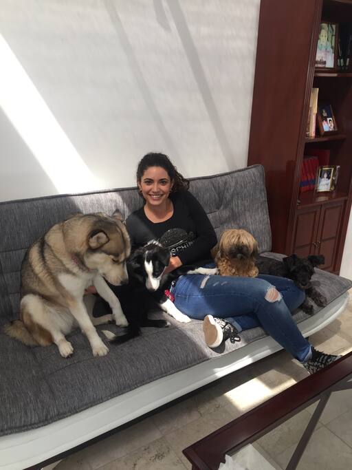 Mascotas aceptadas!!!!