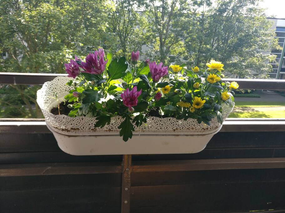 Flowers