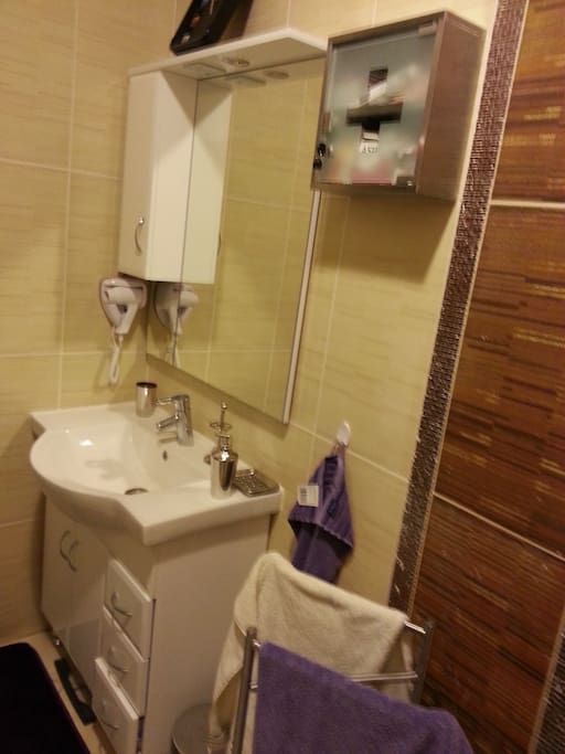 SALLE DE BAIN AVEC DOUCHE ET WC