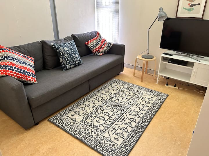 Sala de TV con sofá cama.