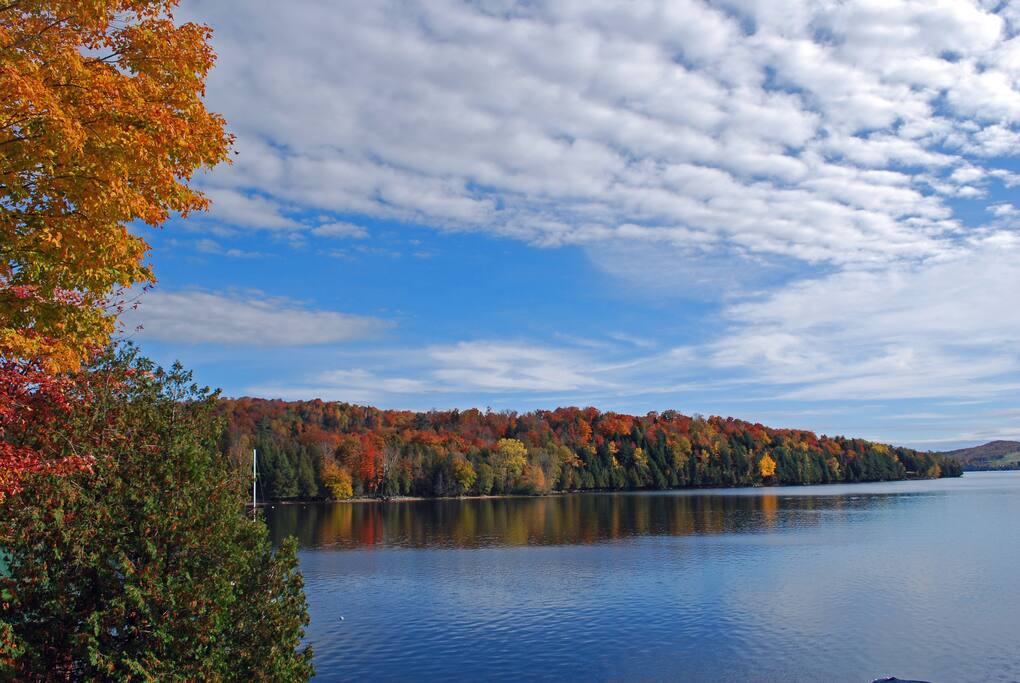 The autumn colors