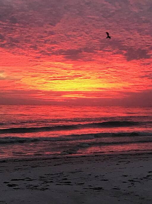 Classic sunset
