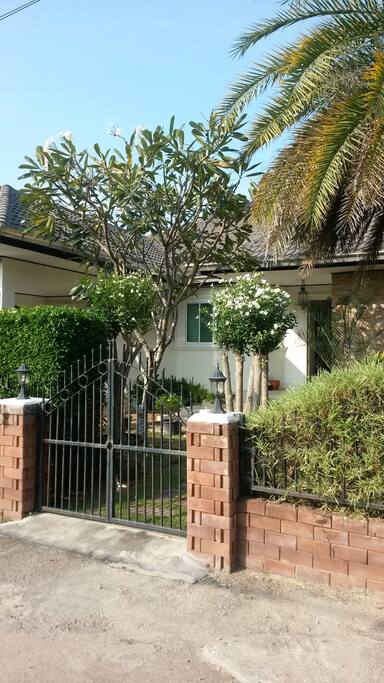 Front yard