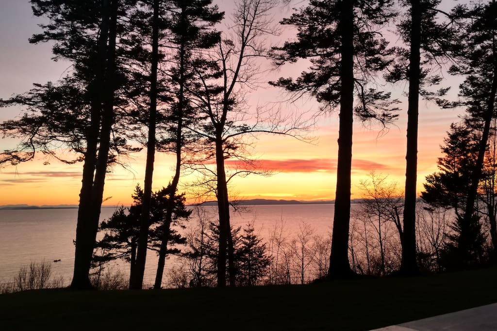 Sunset View