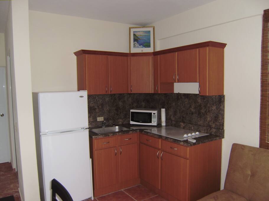 Apartment Kitchen