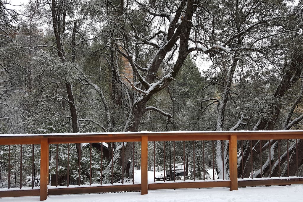 The peaceful quiet of the first snows of the season