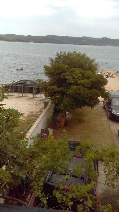 View from the house