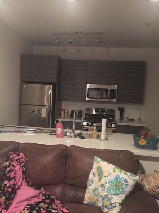 Kitchen/Living Roo