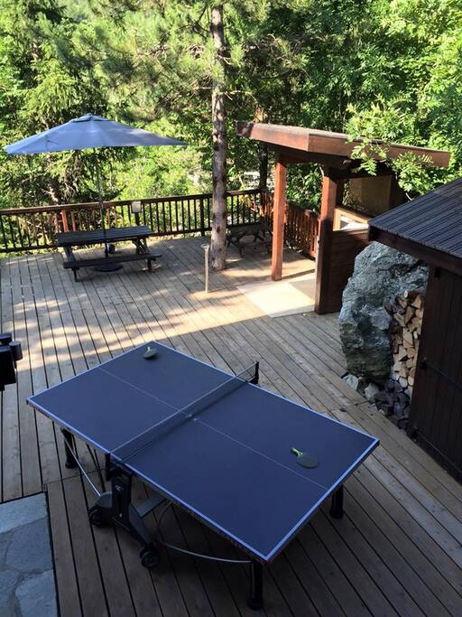 Table de ping pong