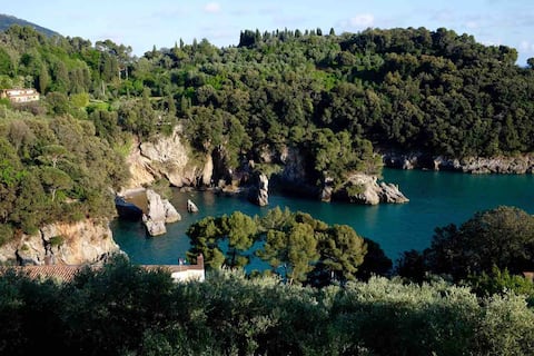 Top Airbnb: Sea life overlooking the sea among olive trees a Lerici