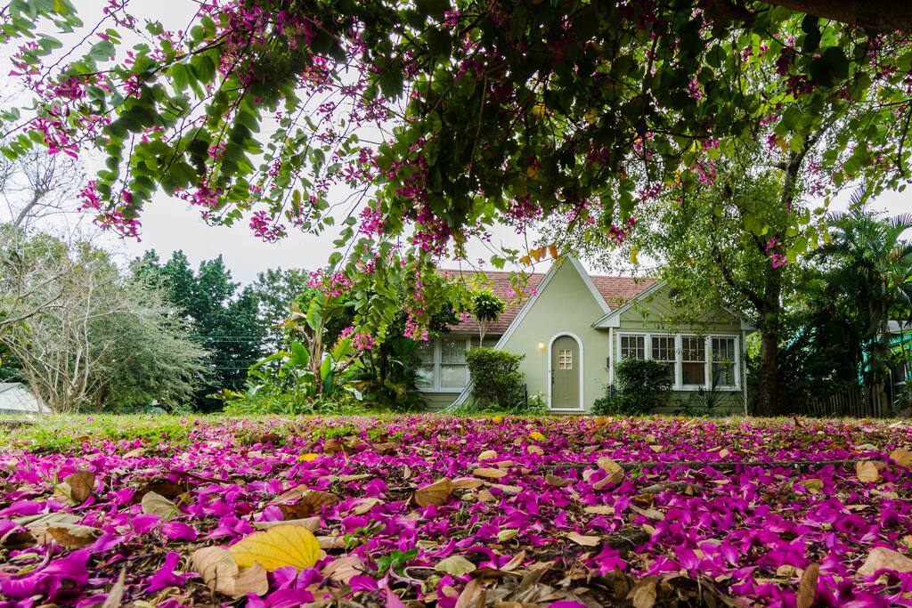 A home away from home. A cozy place just minutes from downtown St Pete!!!