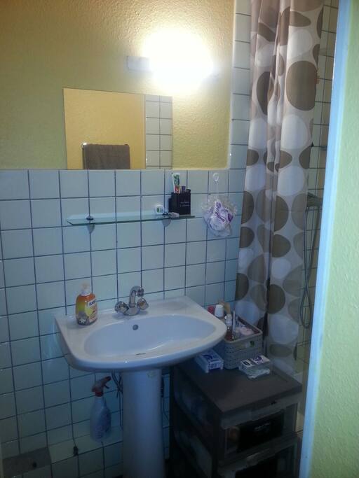 toilette,douche et lavabo