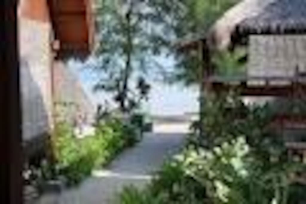 the bungalows