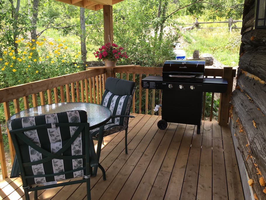 Patio table and Bbq for drinks and dinner
