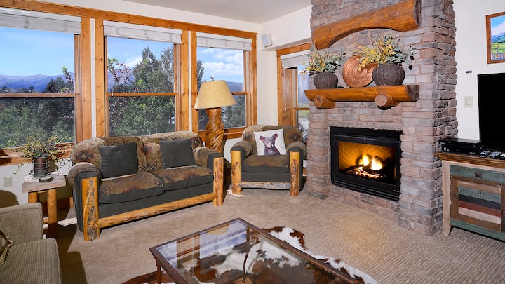 这座滑雪出入公寓的美丽起居区！景观迷人，阳台