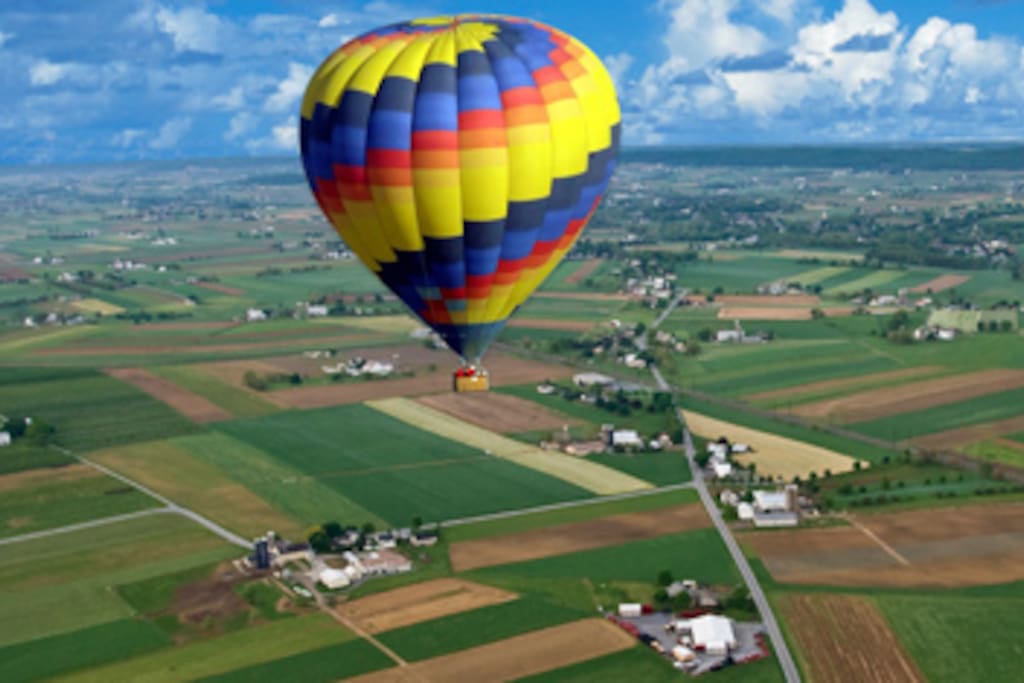 Colorful balloons over a gorgeous landscape