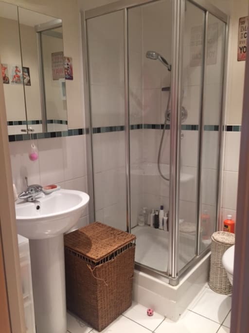 Ensuite Shower Room