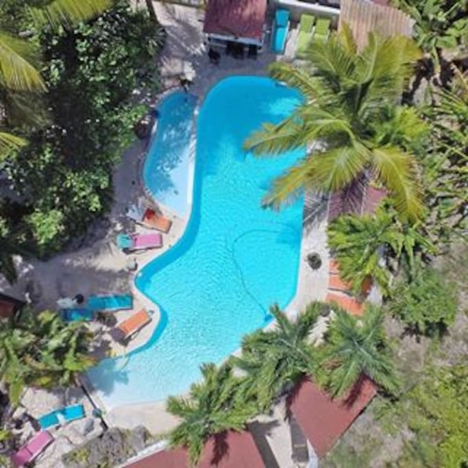 Piscine vue du drone