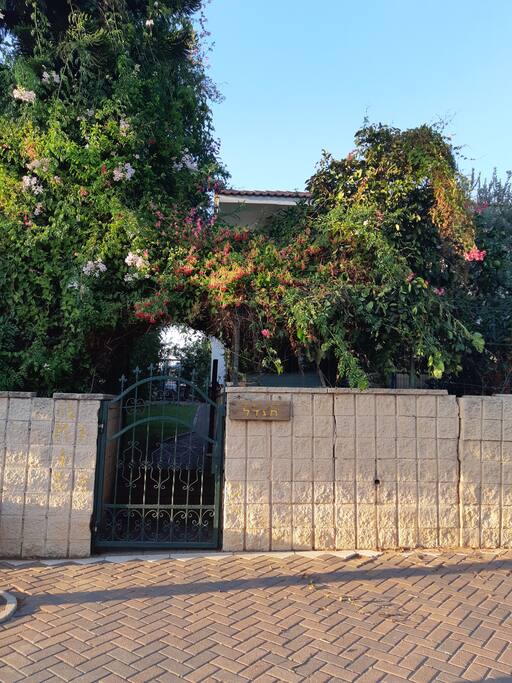 Look for the green gate.
