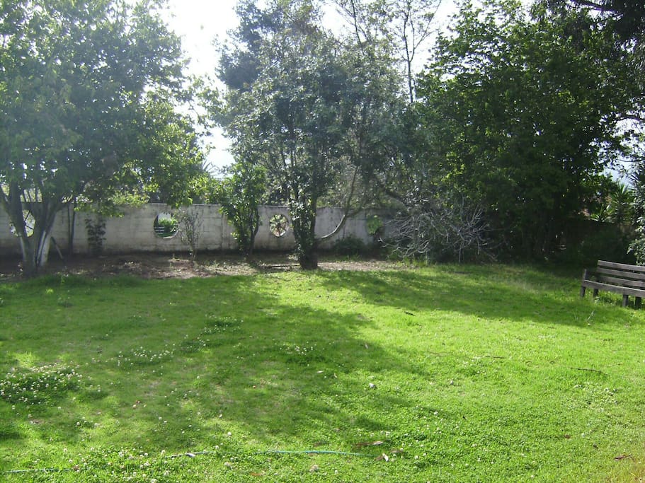 Jardín campo