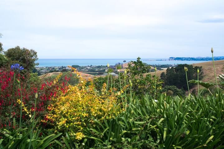 Listing in Hawkes Bay