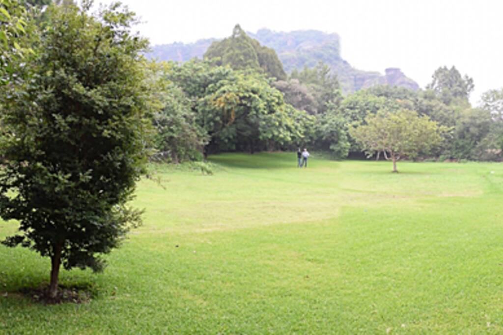 jardín