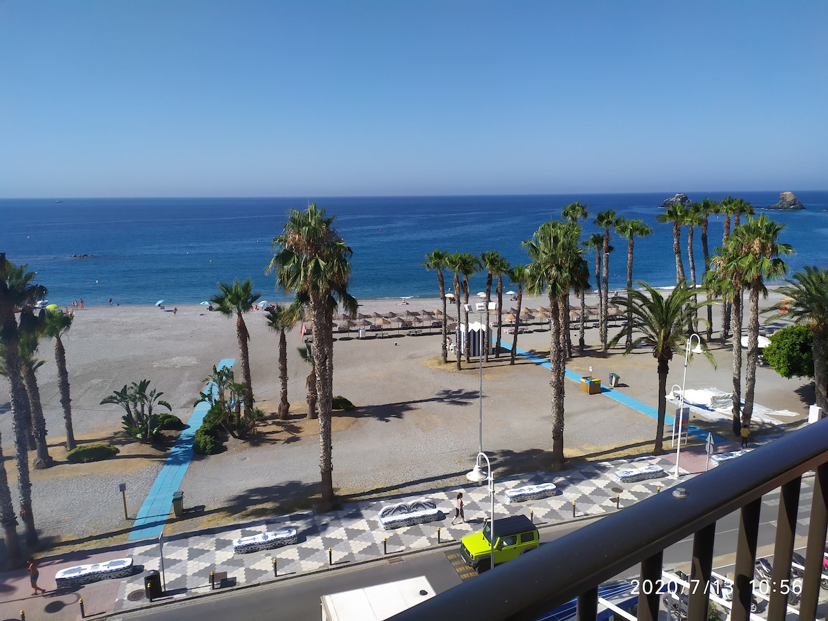 An expansive view of the beach is presented, featuring palm trees lining the shore. Soft waves gently lap at the sand, with lounge chairs placed along the waterfront. The clear blue sky reflects above, enhancing the coastal scenery.
