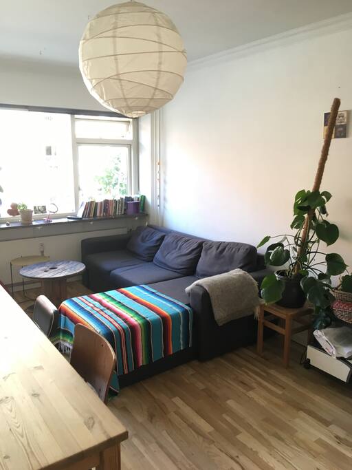 Sofa area, this sofa turns into a bed