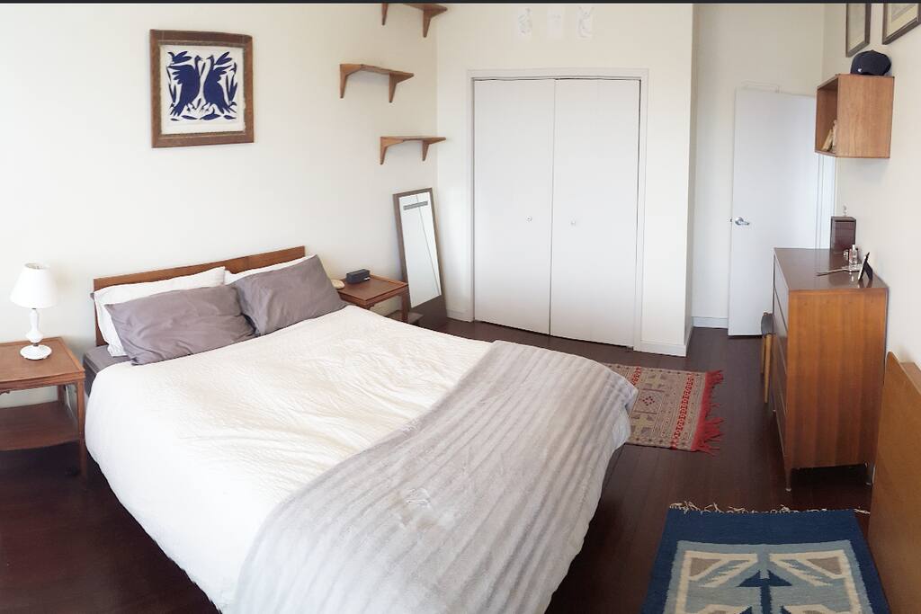 Huge closet with hangers plus an entire chest of drawers for all your clothes.